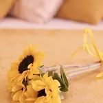 Hotel Grifone