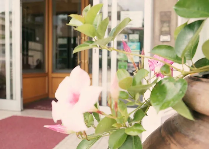 Grifone מלון פרוג'ה